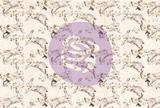 Spring Farmhouse Journaling Cards Pad 4inX6in 15 Designs 3 Each 45pk